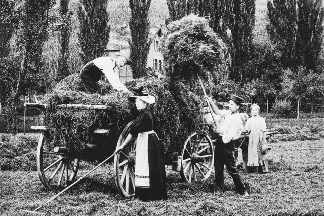 Einblicke in die Landwirtschaft von an... das Landwirtschaftsmuseum in Altweil.  | Foto: Kulturamt Weil