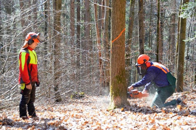 Forstwirtschaftsmeister Christian Men...et das Vorgehen eines Kursteilnehmers.  | Foto: hr