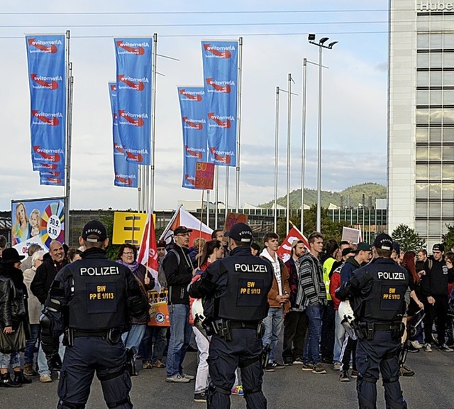 Schon 2017 wehten AfD-Fahnen am Stadteingang.   | Foto: Moritz Lehmann