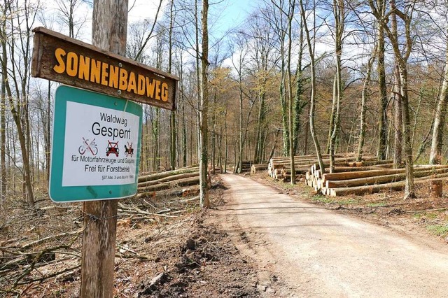 Die Stmme der auf dem Schdelberg gef...hen liegen am Rande des Sonnenbadwegs.  | Foto: Peter Gerigk