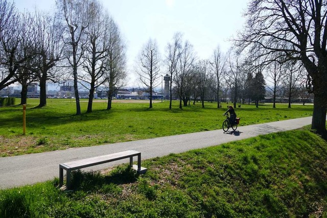 Die grnen Freiflchen  sollen an der ...um Drrenbach bleibt aber grne Lunge.  | Foto: Ingrid Bhm-Jacob