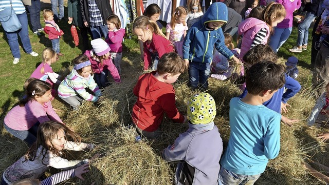 Nach Herzenslust im duftenden Heu nach... Hhepunkt des Ostermarkts in Freiamt.  | Foto: Benedikt Sommer