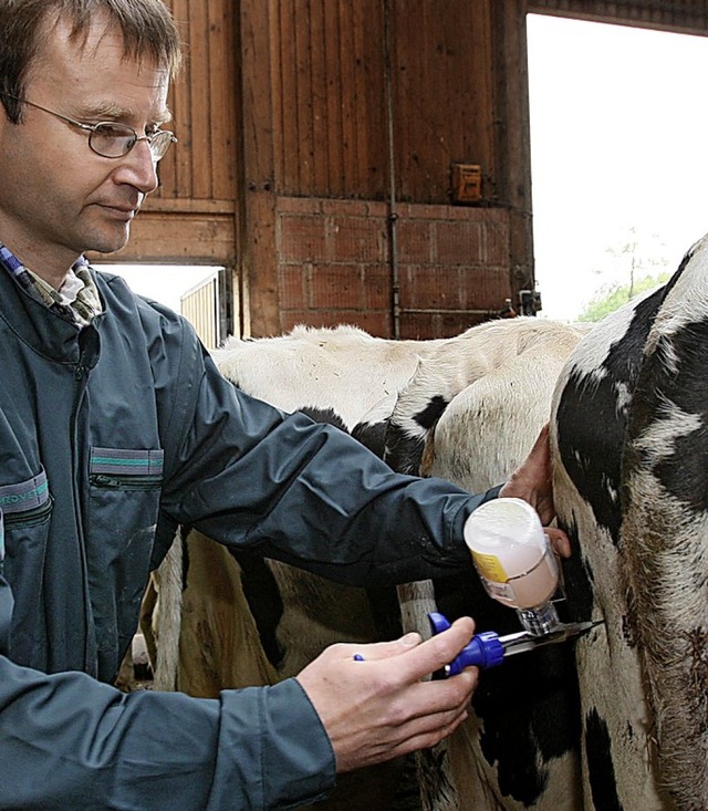 Impfaktionen helfen gegen die Blauzung...eit &#8211; doch wer trgt die Kosten?  | Foto: Rumpenhorst/dpa