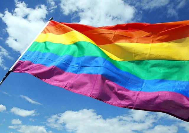 Die Regenbogenfahne als Zeichen fr Toleranz und Akzeptanz. (Symbolfoto)  | Foto: dpa