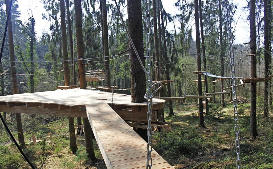 Der Kletterwald Wachst Heran Bad Sackingen Badische Zeitung