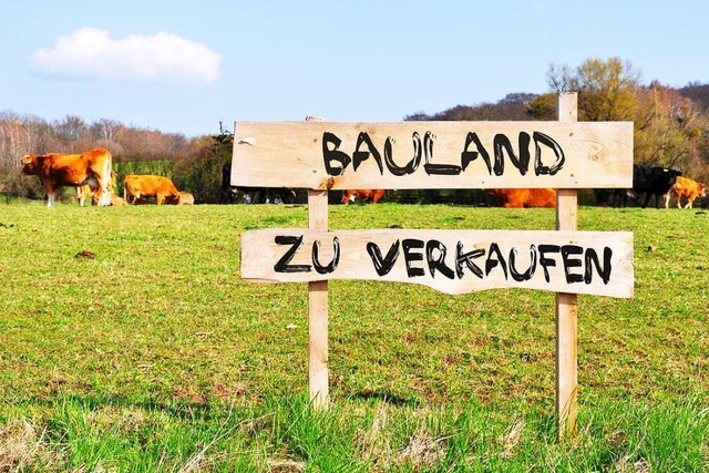 Bauland zu verkaufen gibt es in Efringen-Kirchen, die Frage ist nur, an wen?  | Foto: Adobe Stock