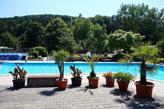 Bald nur noch fr Mitglieder: das Freibad in Lahr-Reichenbach  | Foto: Christoph Breithaupt