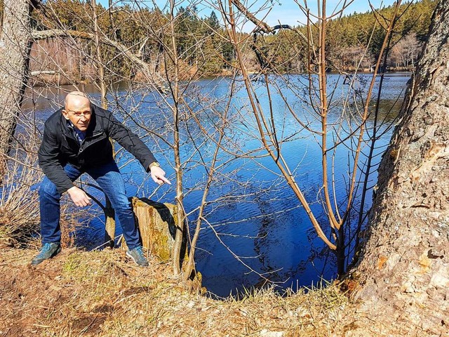 Brgermeister Christian Behringer wies...ch sollen einige Bume gefllt werden.  | Foto: Wilfried Dieckmann