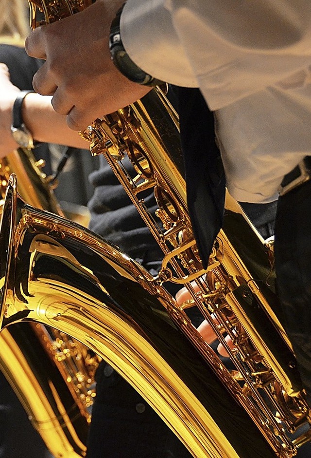 Musik vom Feinsten gibt es von der Hot...ld-Bauernkappelle am heutigen Samstag.  | Foto: Symbolbild: Blum