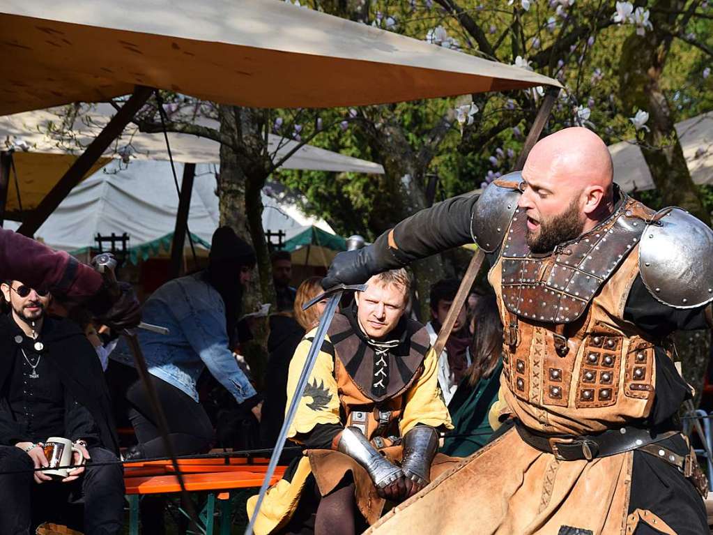 Impressionen vom Mittelalterlich Spectaculum in Bad Sckingen