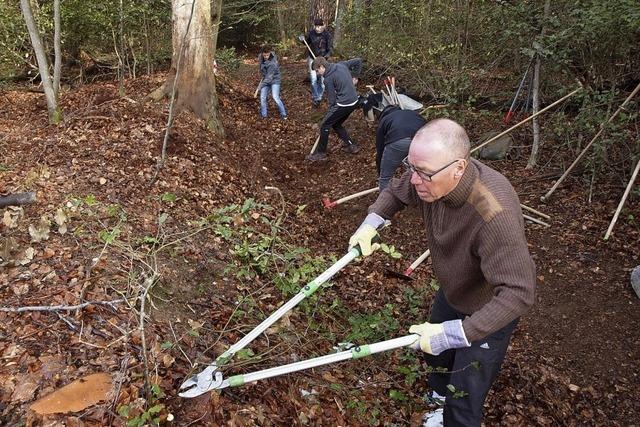 Arbeiten fr Mountainbike-Trail gestartet