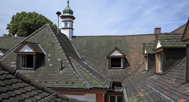 An der eindrucksvollen Dachlandschaft ...ss Brgeln bleibt noch einiges zu tun.  | Foto: Dorothee Philipp