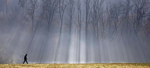 Egal ob bei Nebel, Regen oder Sonnenschein: Ein Waldspaziergang tut gut.   | Foto: dpa