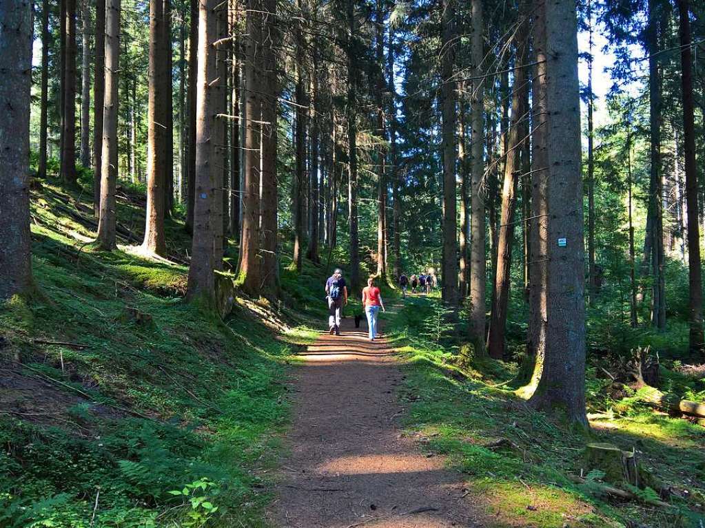 Einfach wanderbar:  unterwegs auf dem Premiumwanderweg Altschlosspfad