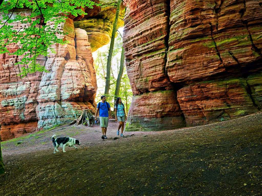 Beeindruckend: Altschlossfelsen