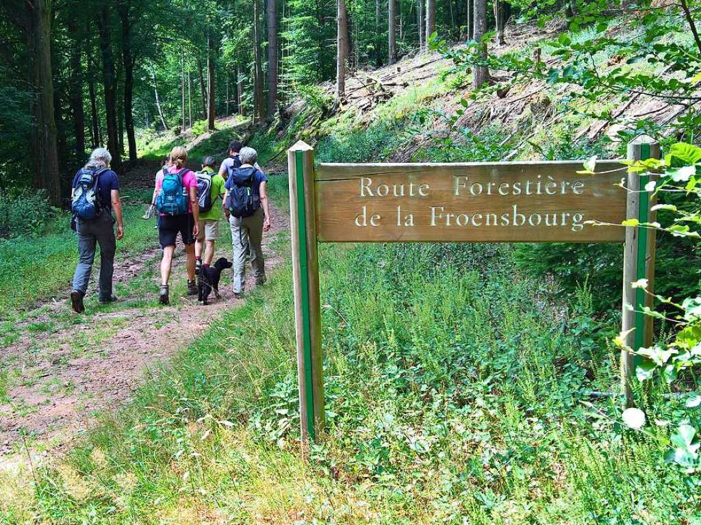 Einfach wanderbar: Die Sdwestpfalz bietet Natur pur und auch immer Abstecher in die benachbarten Nordvogesen.