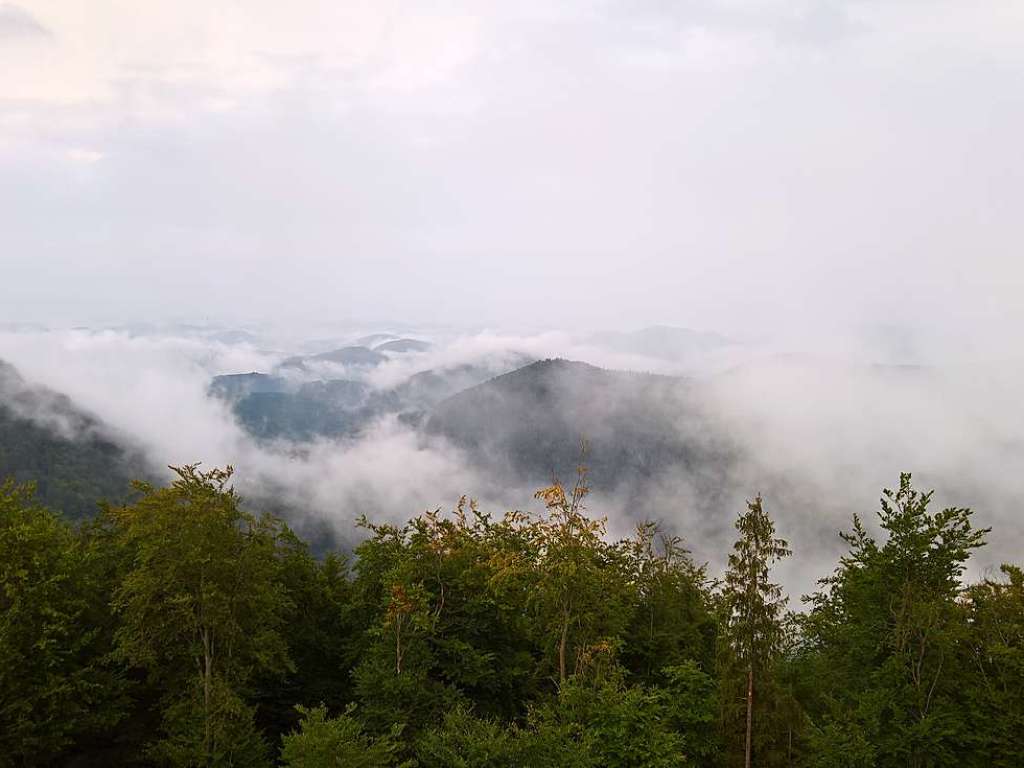 Dampfschwaden nach einem Sommergewitter