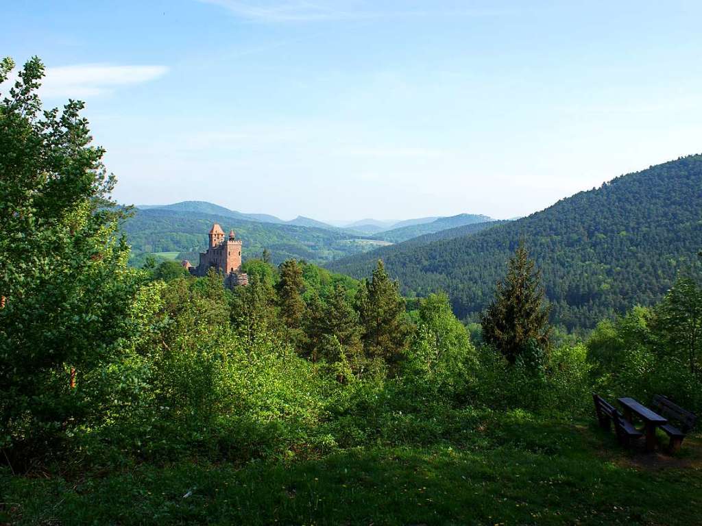 Blick auf die Felsenburg Berwartstein