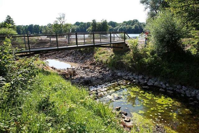 Was der Brgermeister zur geplanten Rheinbrcke sagt