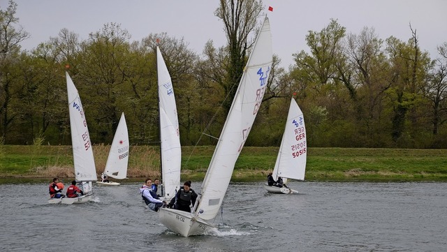 Hart am Wind: Auf dem Rhein starteten die Sasbacher Segler in die neue Saison.   | Foto: Roland Vitt