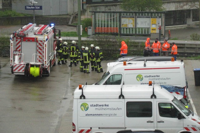 Die Feuerwehr Staufen musste ausrcken...sses in der Schaltanlage Lindengrten.  | Foto: Manfred Lange