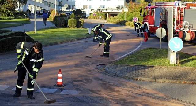 Die Feuerwehr Donaueschingen subert e...en dreht sich eine aktuelle Debatte.    | Foto: Guy Simon