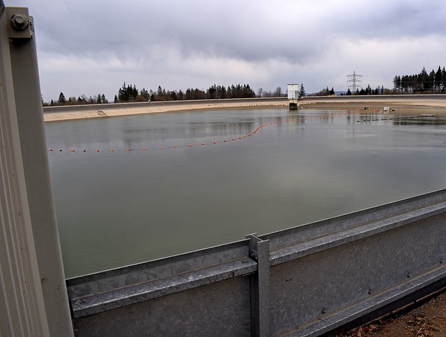 Das Eggbergbecken wird am 6. Mai komplett abgelassen.  | Foto: MIchael Krug