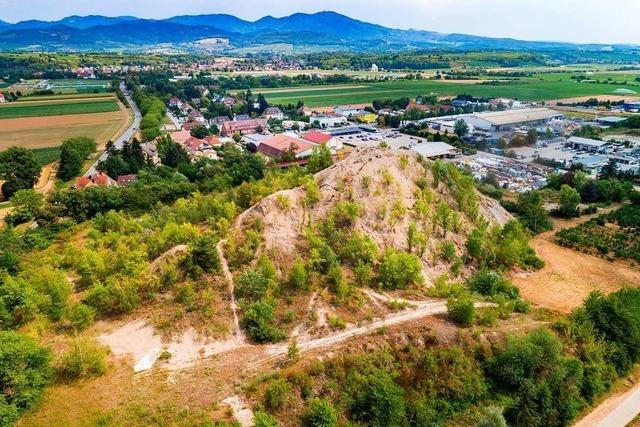 Aus der Kali-Altlast in Buggingen wurden pro Jahr bis zu 945 Tonnen Salz ins Grundwasser gesplt