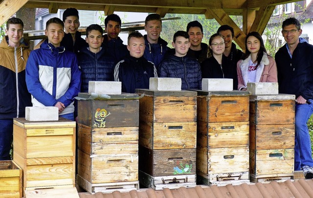 Die diesjhrigen Spenden sollen helfen, die alten Bienenksten zu ersetzen.   | Foto: Ute Schler