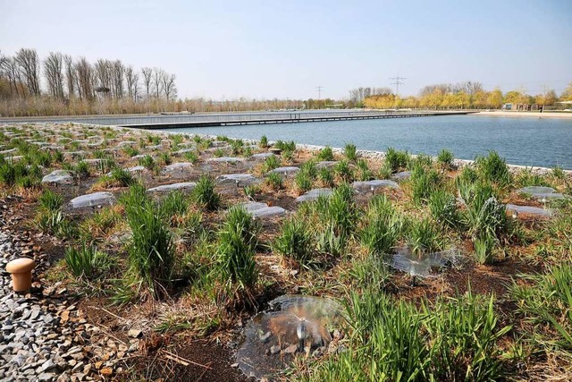 Das Landesgartenschaugelnde soll  Erholungsgebiet bleiben.  | Foto: Christoph Breithaupt