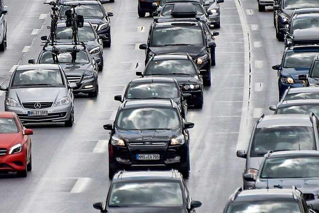 Ausgebxte Kuh sorgt fr Stau auf der A5 bei Offenburg