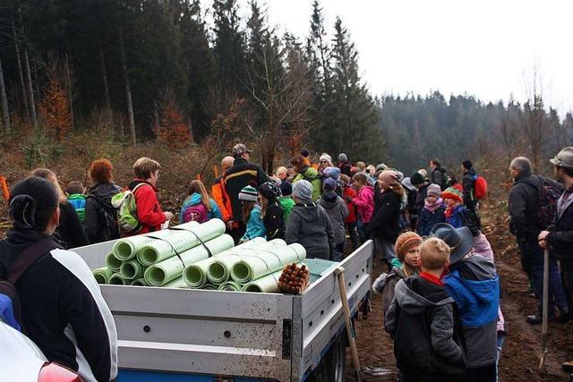 Schler pflanzen 400 Bume am Hinteren Heuberg