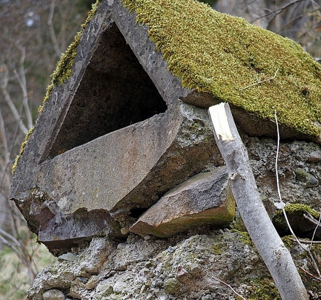 Wo steht dieses Huschen auf einem Felsen?  | Foto: Thomas Mutter