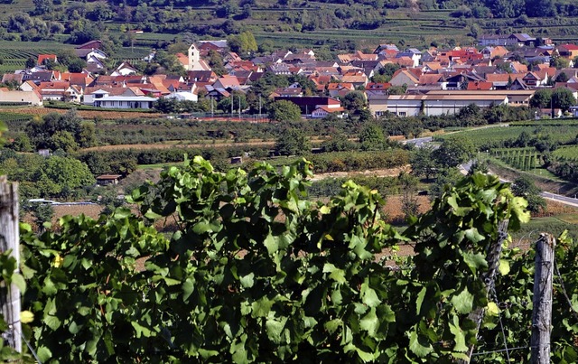 Bischoffingen ist bei Touristen wegen ...nstaltungen rund um den Wein beliebt.   | Foto: Herbert Trogus
