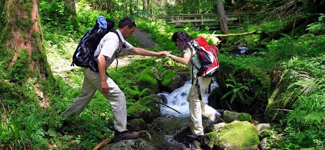 Wandern ist nur eine von vielen  Mglichkeiten, sich im Schwarzwald zu bewegen.  | Foto: dpa/Schwarzwaldverein (2)