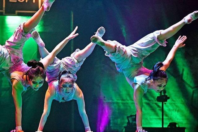 Fotos: Zirkus des Horrors