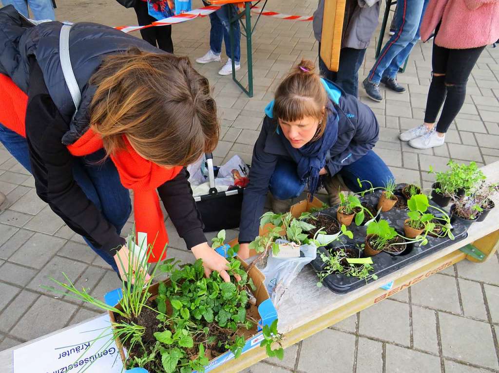 Beim 8. Pflanzenflohmarkt unter dem Vacono-Dome in Rheinfelden gab es fr die zahlreichen Besucher aus nah und fern jede Menge grne Schtze, darunter manche Raritten zu entdecken und zum Mitnehmen.