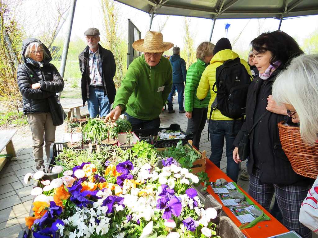 Beim 8. Pflanzenflohmarkt unter dem Vacono-Dome in Rheinfelden gab es fr die zahlreichen Besucher aus nah und fern jede Menge grne Schtze, darunter manche Raritten zu entdecken und zum Mitnehmen.