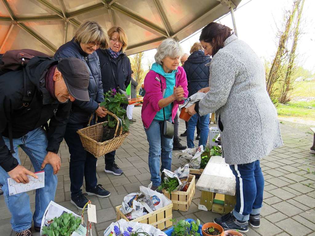 Beim 8. Pflanzenflohmarkt unter dem Vacono-Dome in Rheinfelden gab es fr die zahlreichen Besucher aus nah und fern jede Menge grne Schtze, darunter manche Raritten zu entdecken und zum Mitnehmen.