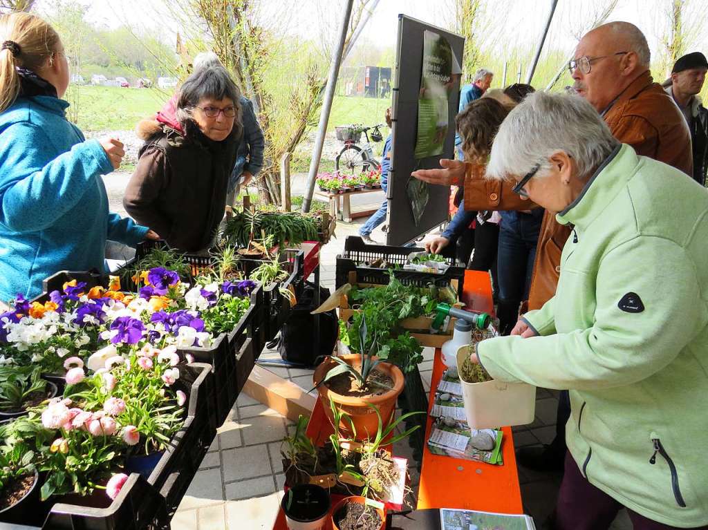 Beim 8. Pflanzenflohmarkt unter dem Vacono-Dome in Rheinfelden gab es fr die zahlreichen Besucher aus nah und fern jede Menge grne Schtze, darunter manche Raritten zu entdecken und zum Mitnehmen.