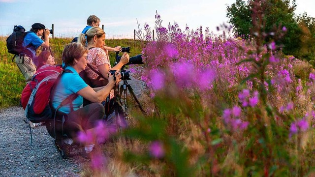 Die  Foto-Spaziergnge  am Seebuck mit...chrder-Esch dauern rund drei Stunden.  | Foto: Sebastian Schrder-Esch