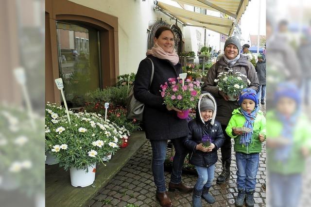 Frhlingserwachen im Schneetreiben