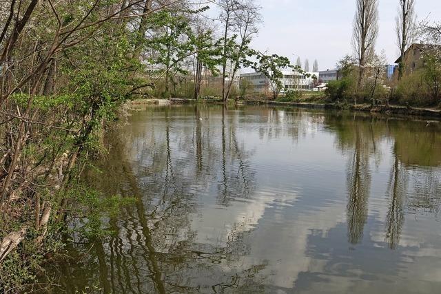 Der Kanton fischt jetzt mit