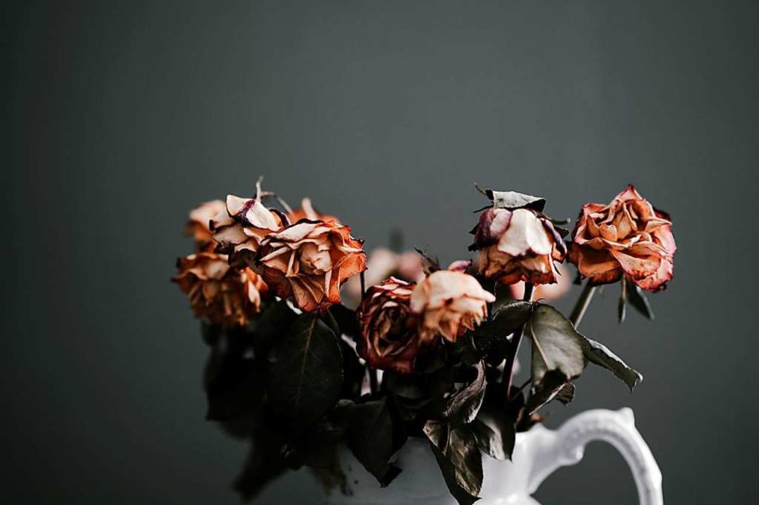 Trauer und Tod sind Themen, die die meisten Menschen meiden.  | Foto: Annie Spratt/Unsplash.com