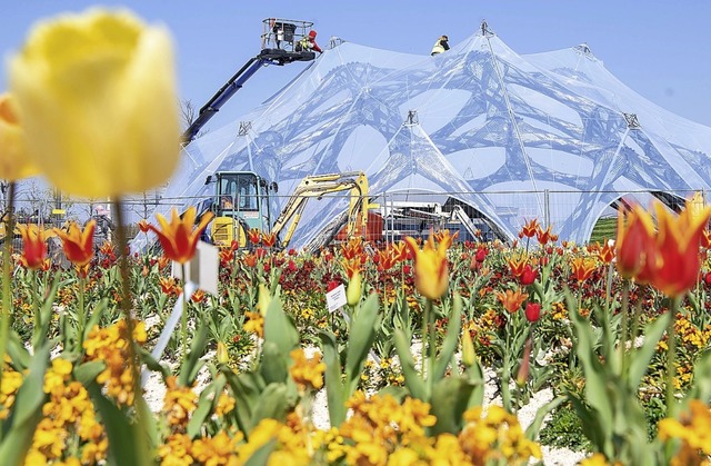 Mitten im Tulpenfeld &#8211; ein futuristischer Pavillon  | Foto: dpa