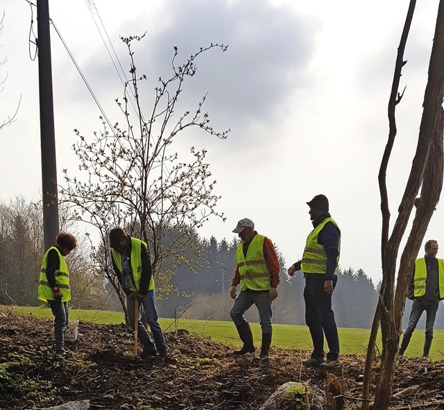 Groeinsatz beim Golfplatz Rickenbach....top mit Gehlzen und Naturmaterialien.  | Foto: Anka Mickel