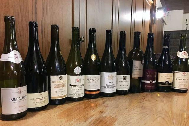 Ortenauer Pinots müssen sich vor Weinen aus dem Burgund nicht verstecken