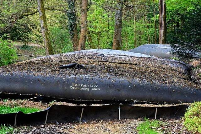 XXL-Scke liegen beim Waldsee-Rundweg auch ber Ostern im Weg