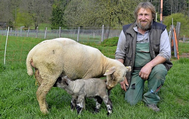 Schfer Reinhard Bischler strahlt: Ger...und sucht gerne das Euter der Mutter.   | Foto: Hubert Rderer