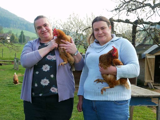 Auf dem Gnadenhof mit dem Huhn auf Du ... aus Seelbach mit Marmorette und Edda.  | Foto: Ulrike Derndinger